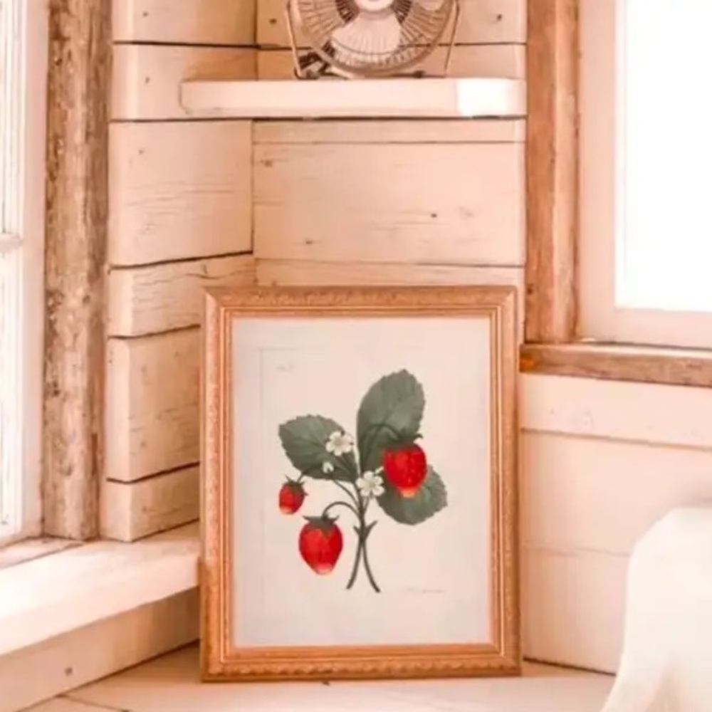 Jilly Box Summer 2022 Wild Strawberry Print